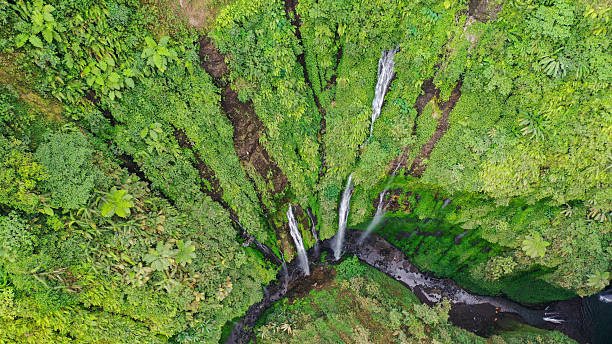 istock This bird eye view captures the vertical cliffs and multiple streams of Madakaripura Waterfall plunging into a mystical green basin surrounded by rainforest 2222585186