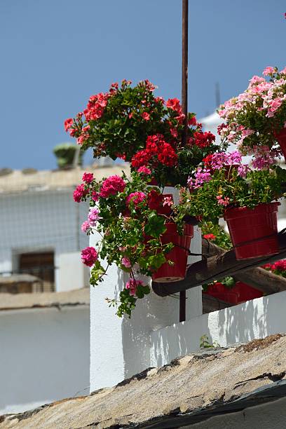 istock Terrace with geraniums in Capileira 2222589054
