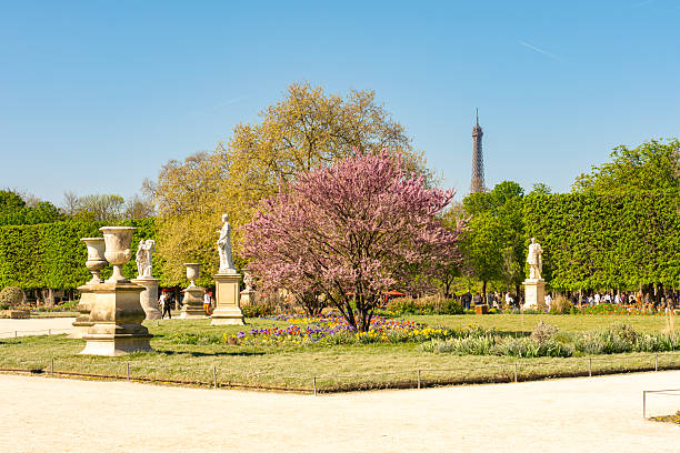 istock Tuileries gardens in spring, Paris, France 2222592961