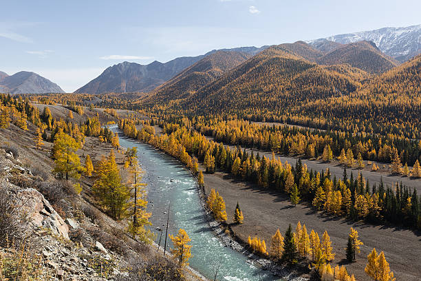 istock autumn in mountains. river and forest. 2222595289