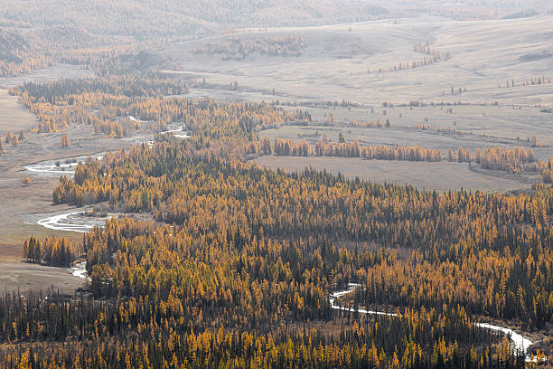 northern river curly. autumn in mountains