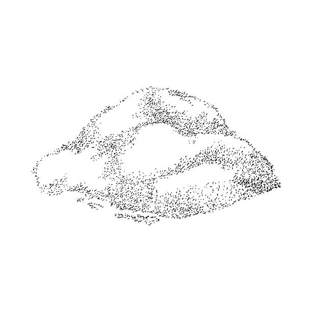 istock Monochrome illustration of maca root powder, hand drawn. 2222599597