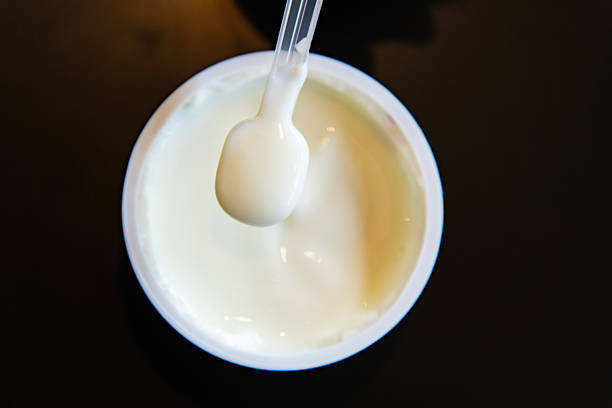 dairy product