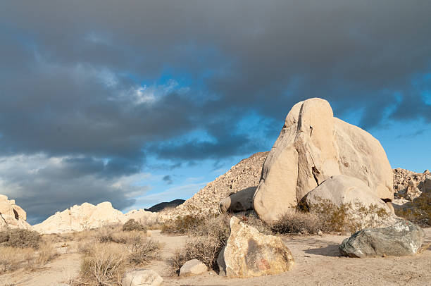 istock Joshua Tree National park landscape 2222602290