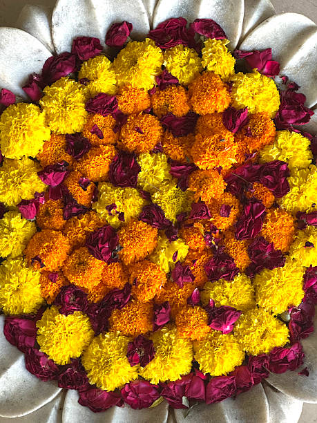 Marigold Flower rangoli Design with oil lamps for Diwali Festival.