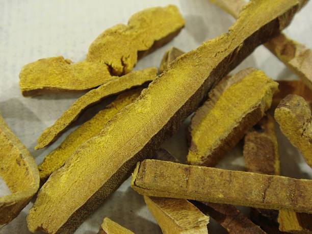 istock Dried Amur Cork Tree Bark Traditional Korean Herbal Medicine 2222613178