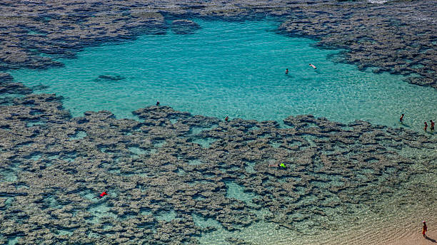 Crystal Clear Hanauma Bay