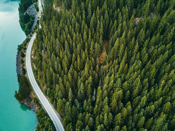 istock winding road in the washington state 2222623282