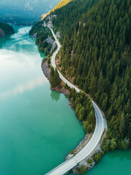 winding road in the washington state