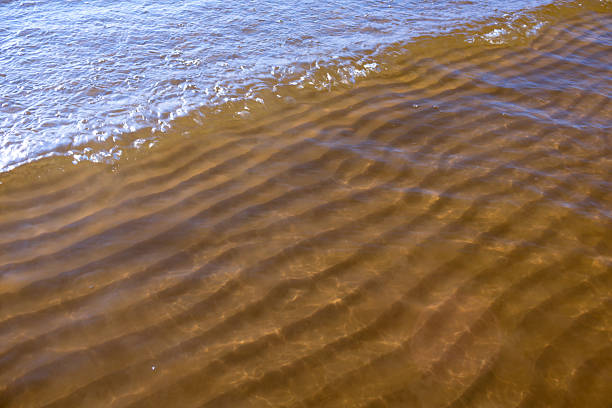 istock The water is brown and has ripples 2222631563