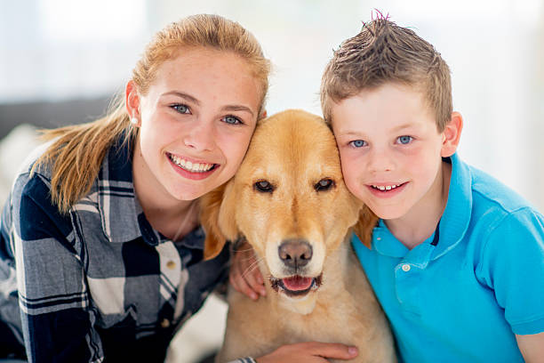 istock Smiling Siblings Bonding with Their Golden Labrador at Home 2222631613