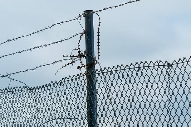 istock Barbed wire enhancing security of chain link fence under cloudy sky 2222631786