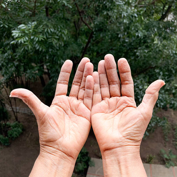 Two hand holding or offering something, isolated on white background. Open black male palms, handful gesture