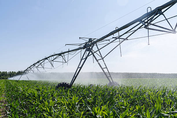 istock Agricultural pivot irrigation system on a corn field 2222635371