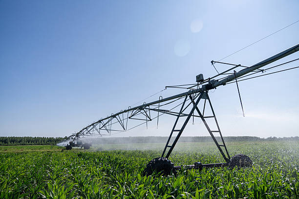 istock Agricultural pivot irrigation system on a corn field 2222635994