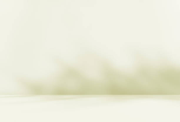 istock Empty green brown room studio with leaves shadow effect overlay sunlight through the window. 2222641887