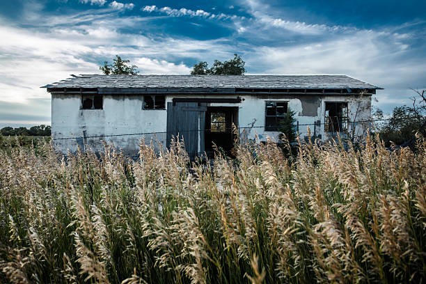 Old house, ruined and abandoned, tall grass growing around house, late afternoon, early summer, partly cloudy sky.