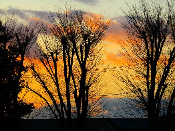 Sunrise