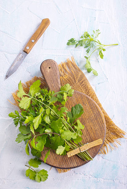 istock Fresh green cilantro branches heap for cooking 2222650981