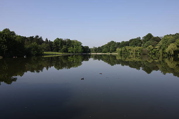 istock Pond Ducks - Kissena Park 2222651733