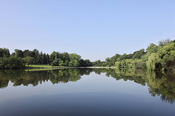 istock Pond - Kissena Park 2222651755