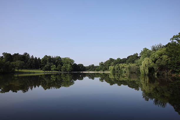 istock Pond - Kissena Park 2222651769