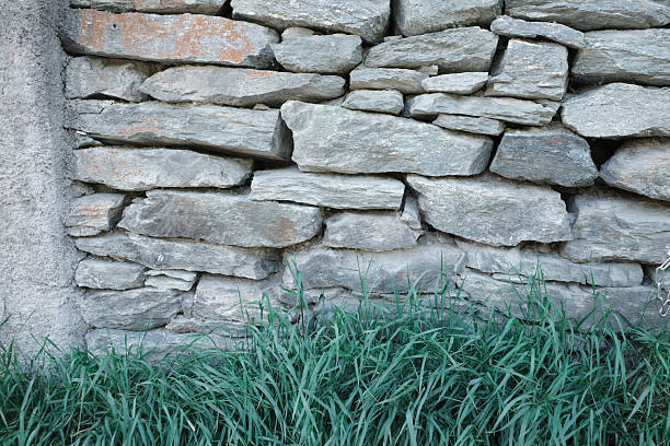 The stones exhibit natural textures with some surface weathering.