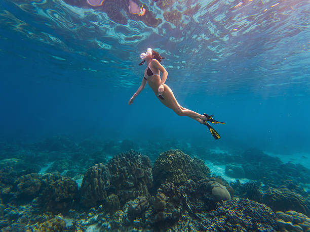 istock Snorkeling adventure in vibrant coral reef waters 2222661733