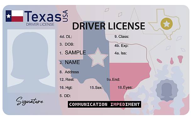 TexasW1 Texas driver's license. Female picture silhouette driver's license isolated on white background. drivers license stock illustrations