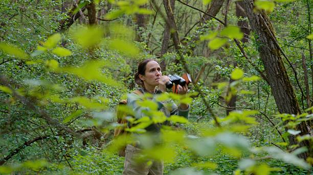 istock Ecologist Birdwatching In Lush Green Forest In Spring 2222665209