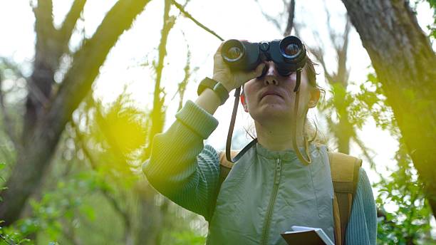 istock Ecologist Birdwatching In Lush Green Forest In Spring 2222665210