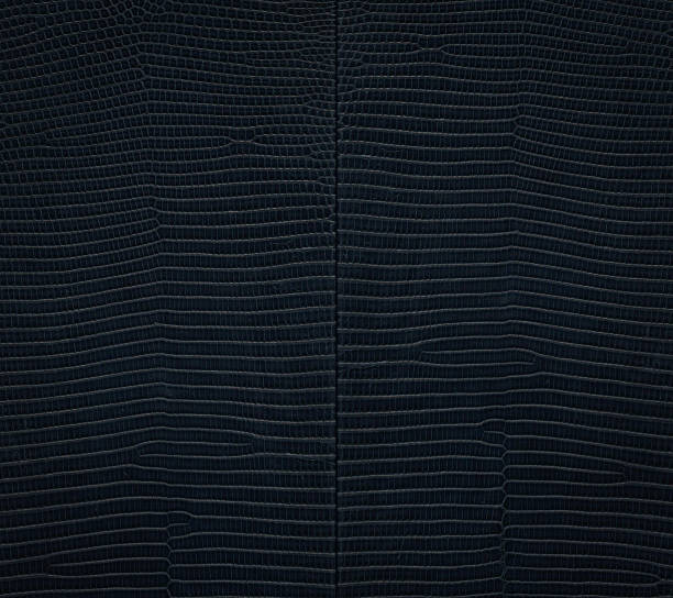 Dark Reptile Skin Texture in Close Up with Natural Alligator Patterns