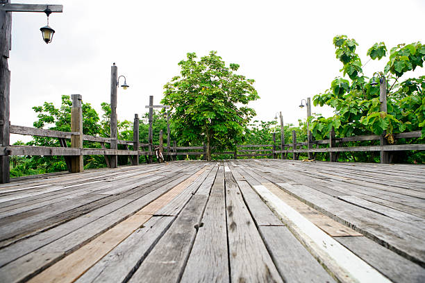 Wooden path in public park