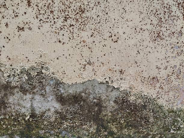 istock Abstrak grunge old wall weathered texture background 2222678528
