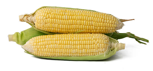 istock The High-resolution photo of a corn cob with a 45MP camera. 2222678773
