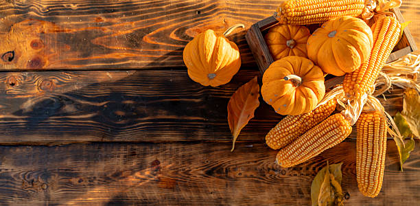 istock Fall harvest cornucopia. Pumpkin fruit in Autumn season for Halloween and thanksgiving. 2222678855