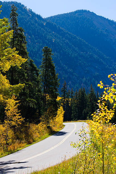 istock Vibrant Fall Foliage on the Roadside 2222680344