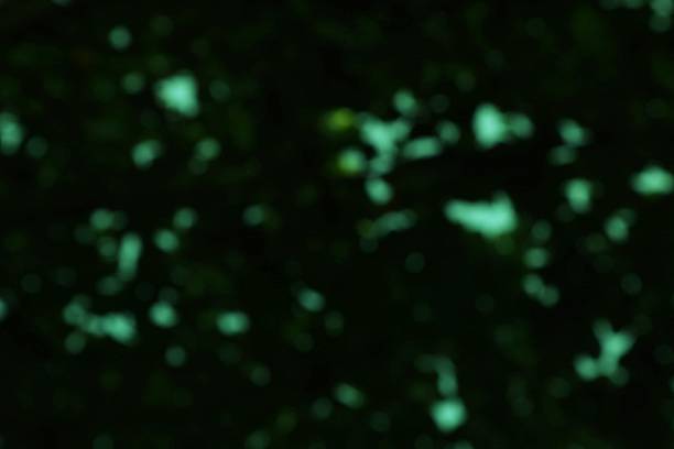 istock Abstract luminous green bokeh background on dark green backdrop 2222680388