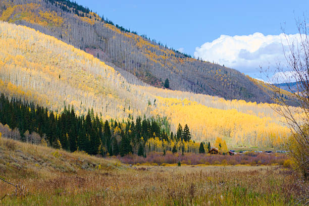 istock Mountains Covered with Colorful Fall Foliage 2222681252