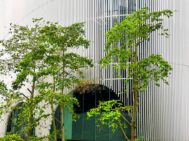 istock Architectural detail with trees from modern office building exterior 2222683815