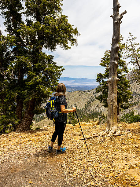istock Female Hiker  Overlooking Kyle Canyon From The  The Echo Cliffs Overlook 2222684844