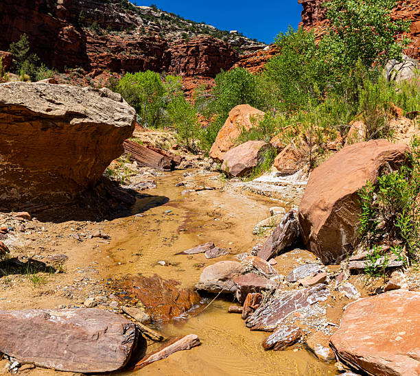 istock Cottonwood Creek Running Through Lower Hackberry Canyon 2222684988