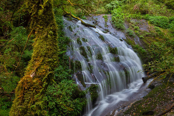 istock Lan Sadet Waterfall is beautiful small waterfall arive first Kew Mae Pan, Doi Inthanon National park, Thailand. 2222686882