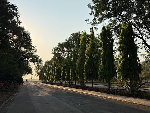 istock A road with a row of trees on either side 2222689293