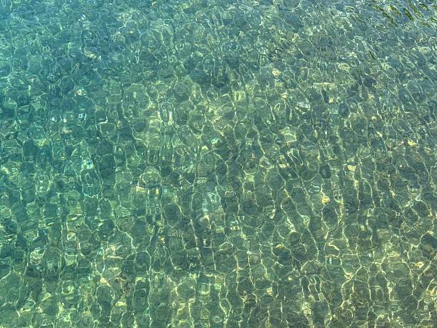 istock Natural background sea seabed ocean floor water underwater algae. 2222690489