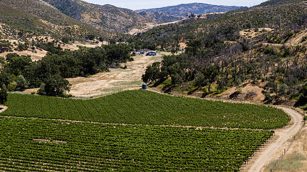 istock Hillside vineyard estate in mountain valley. Remote winery operation surrounded by drought-affected landscape in Napa County, California. 2222697868