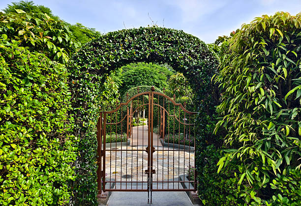 An ornate gate is beautifully surrounded by a lush green hedge.