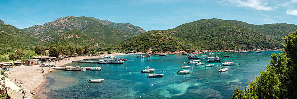 Girolata, Corsica, France - 30th May 2025: Tourists mingle on the beach with cows at the small fishing village of Girolata on the west coast of the Mediterranean island of Corsica