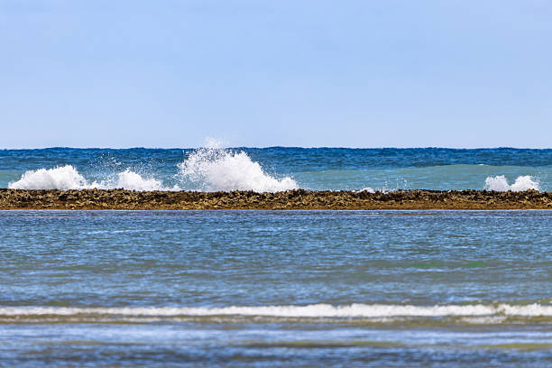 Brazilian Coast LandScape