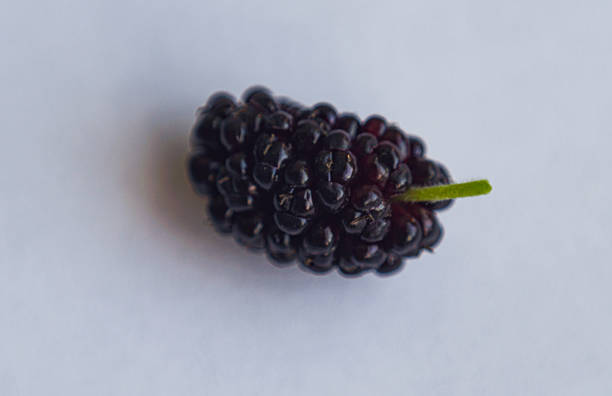 Macro image of a red mulberry fruit on a white background